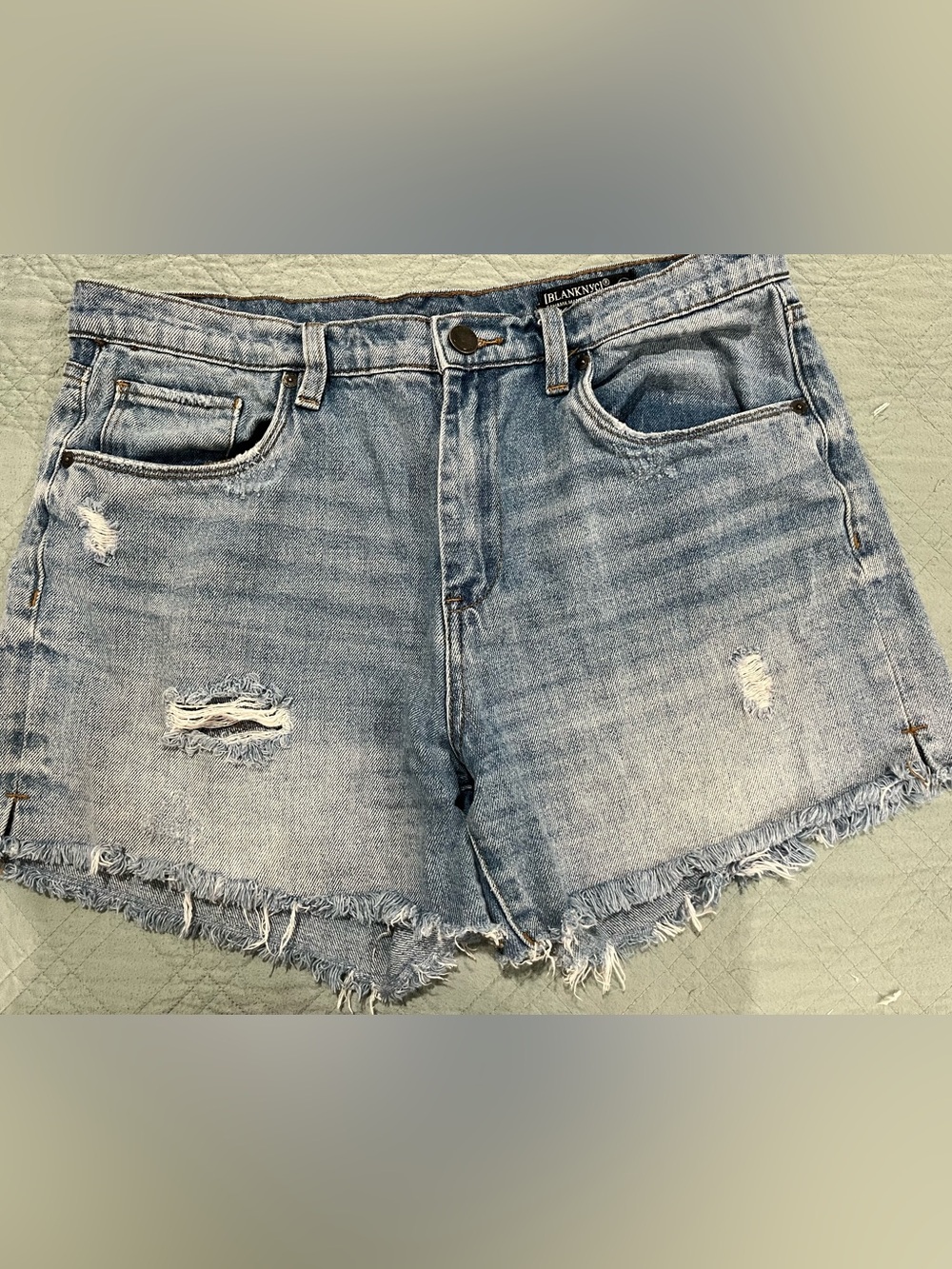 Blank NYC Faded Light Blue Distressed Jean Shorts